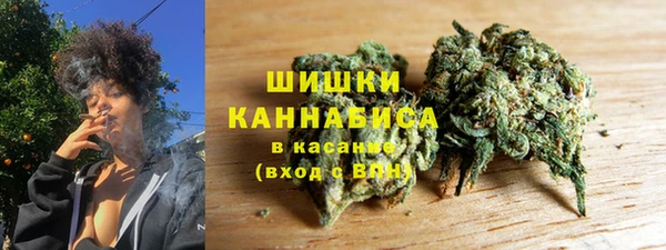 spice Рославль